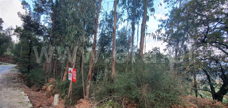 Terreno  Fafe, Fafe - 1050096 - 7