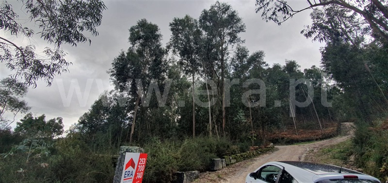Terreno  Fafe, Fafe - 1050096 - 10