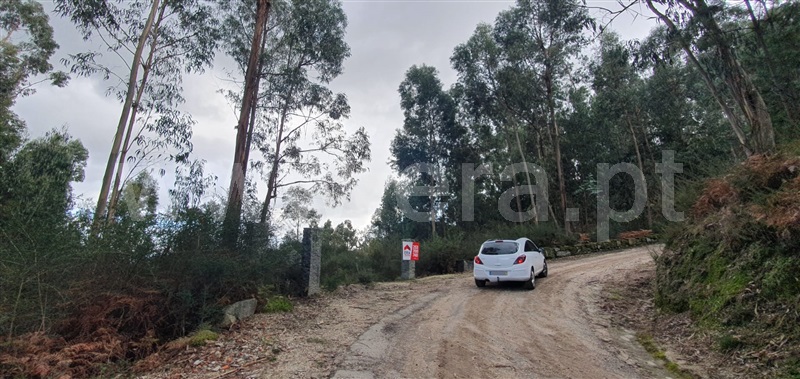 Terreno  Fafe, Fafe - 1050096 - 15