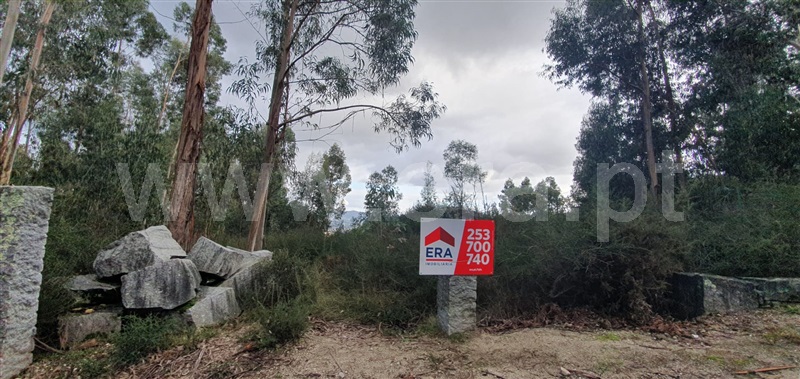 Terreno  Fafe, Fafe - 1050096 - 16
