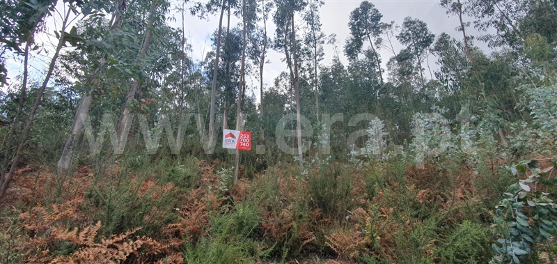 Terreno  Fafe, Fafe - 1050096 - 17