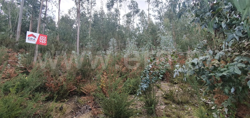 Terreno  Fafe, Fafe - 1050096 - 18