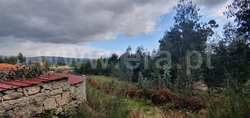 Terreno  Fafe, Fafe - 1050096 - 19