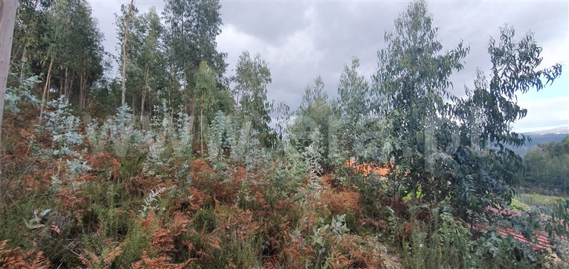 Terreno  Fafe, Fafe - 1050096 - 21
