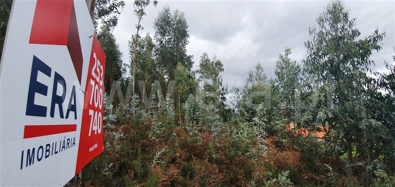 Terreno  Fafe, Fafe - 1050096 - 22
