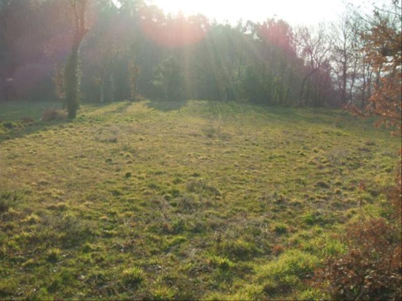 Terreno / Fafe, Fafe