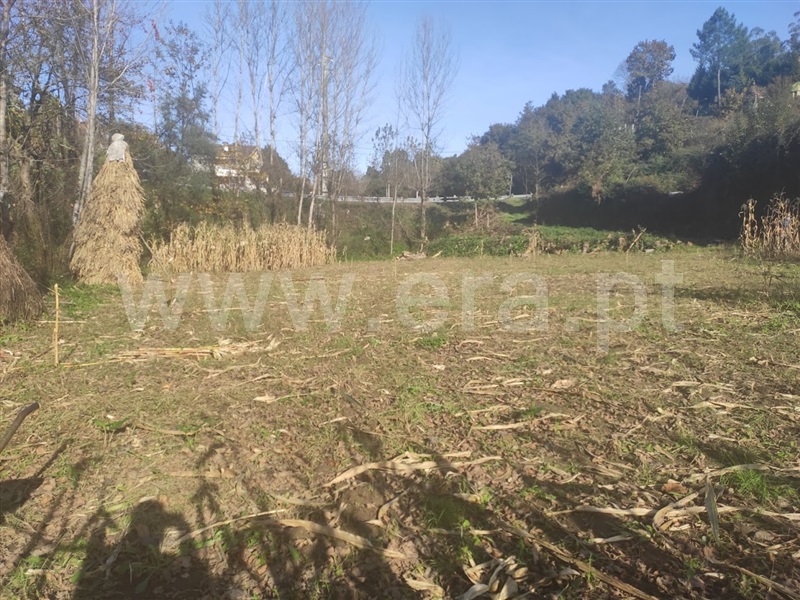Terreno / Fafe, Fafe