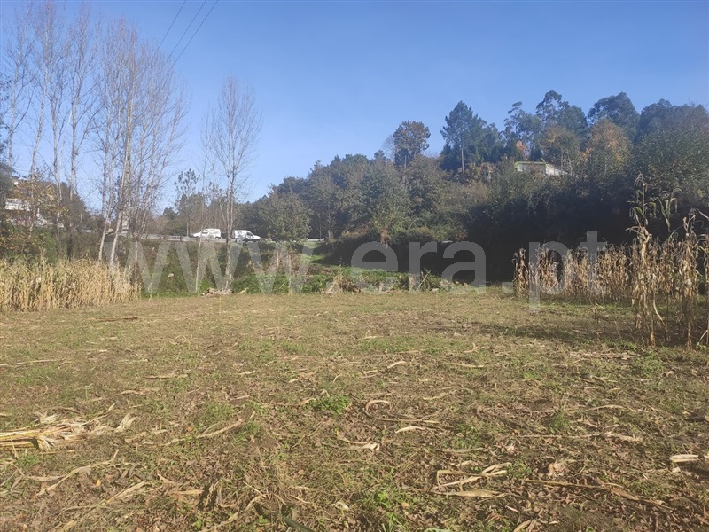 Terreno  Fafe, Fafe - 1130386 - 3