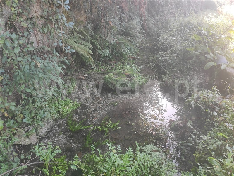 Terreno  Fafe, Fafe - 1130386 - 2