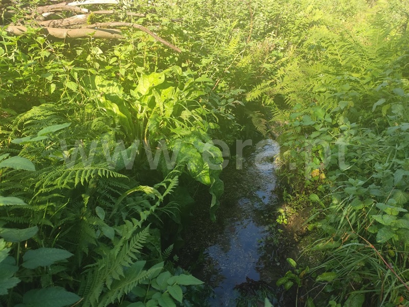 Terreno  Fafe, Fafe - 1130386 - 4