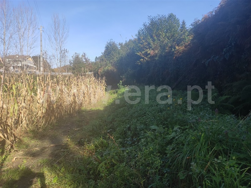 Terreno  Fafe, Fafe - 1130386 - 6