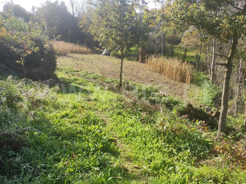 Terreno  Fafe, Fafe - 1130386 - 7
