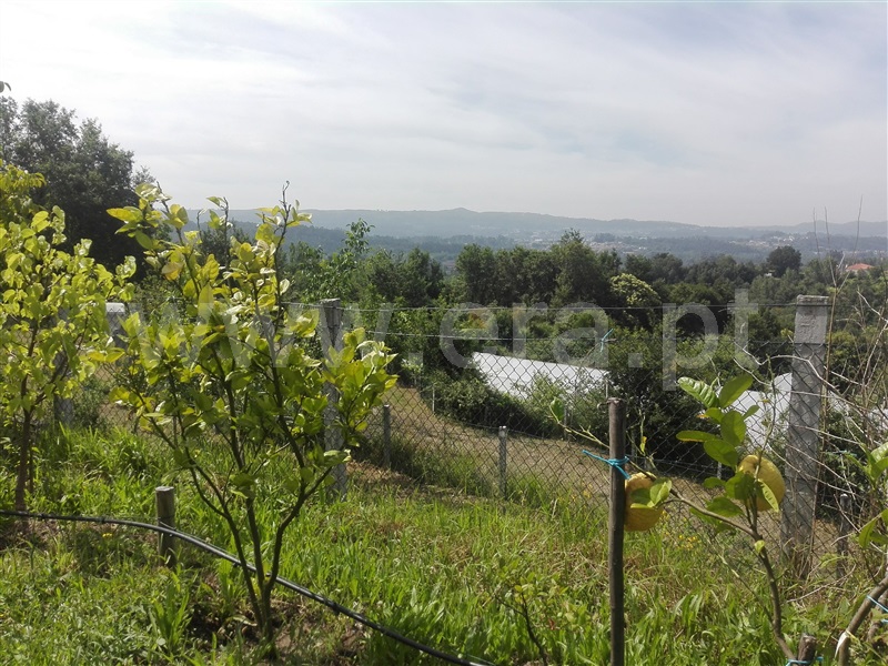 Terreno / Fafe, Fafe