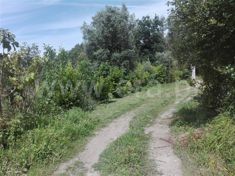 Terreno  Fafe, Fafe - 1225548 - 5