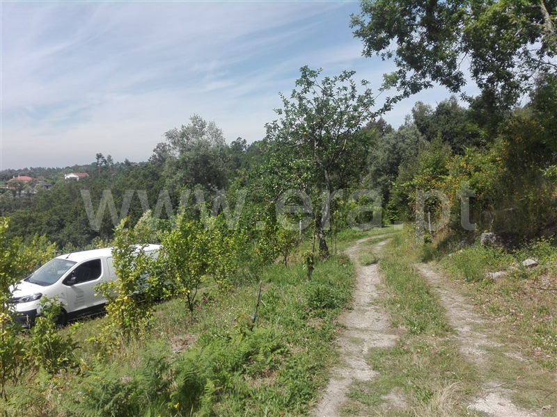 Terreno  Fafe, Fafe - 1225548 - 12