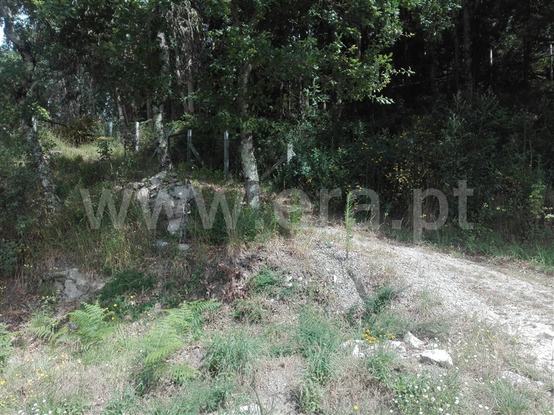 Terreno  Fafe, Fafe - 1225548 - 14