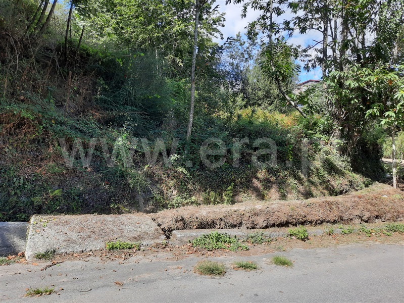 Terreno  Fafe, Fafe - 1349297 - 4