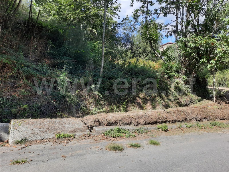 Terreno  Fafe, Fafe - 1349297 - 5