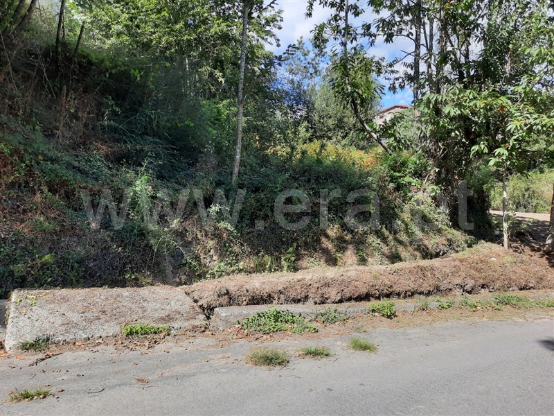 Terreno  Fafe, Fafe - 1349297 - 7