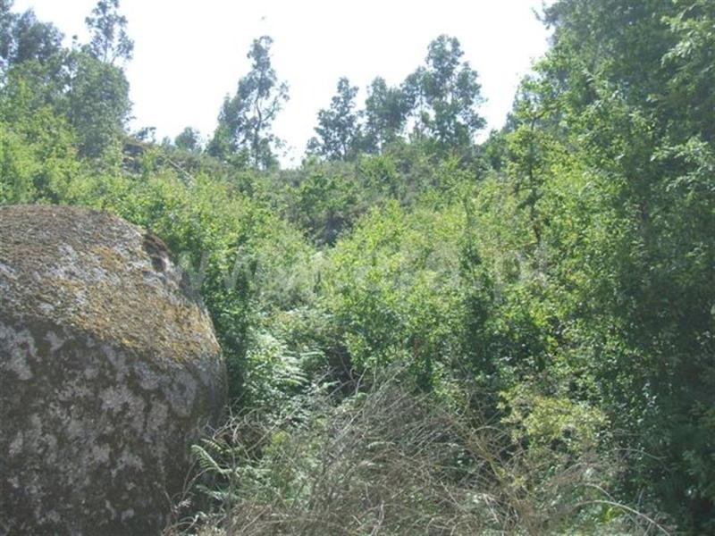 Terreno  Fafe, Fafe - 460771 - 1
