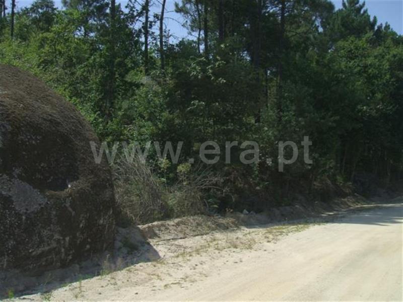 Terreno  Fafe, Fafe - 460771 - 2