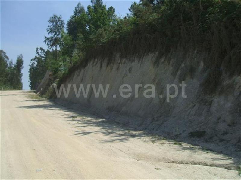 Terreno  Fafe, Fafe - 460771 - 3