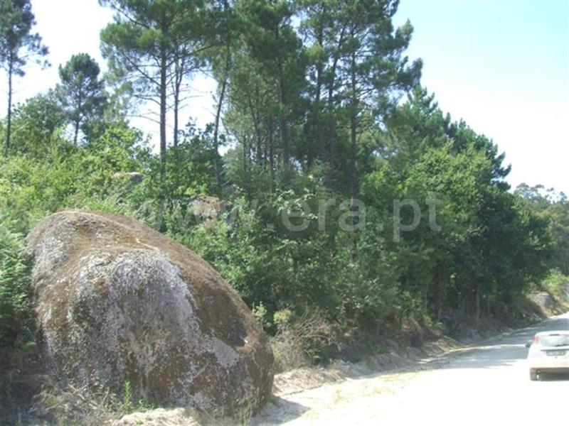 Terreno / Fafe, Fafe