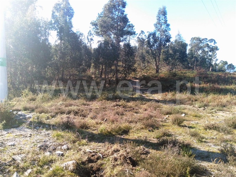 Terreno  Fafe - 618296 - 8