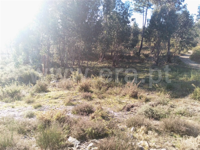 Terreno  Fafe - 618296 - 10