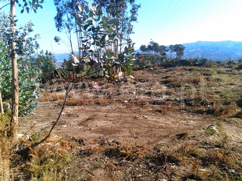Terreno  Fafe - 618296 - 15
