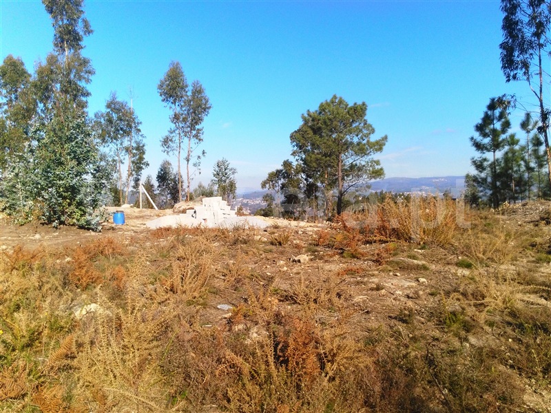Terreno / Fafe, Fafe