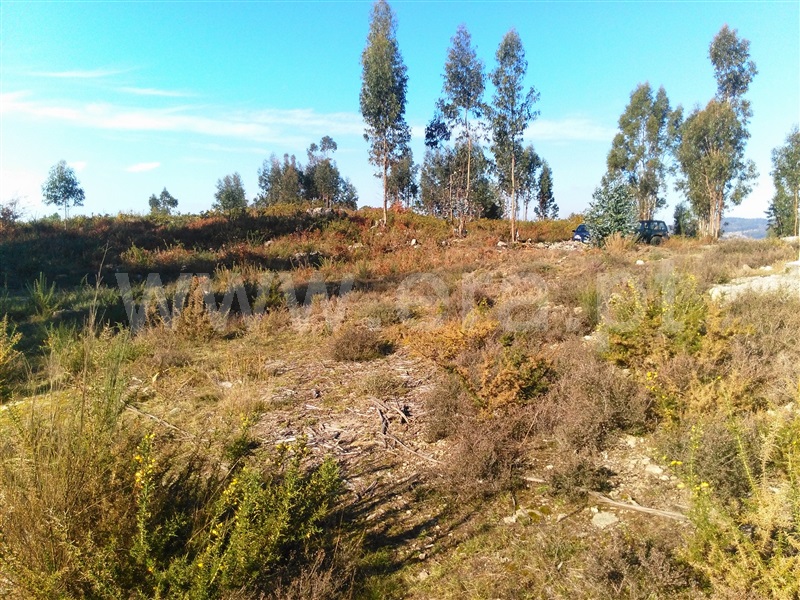 Terreno  Fafe - 618296 - 18