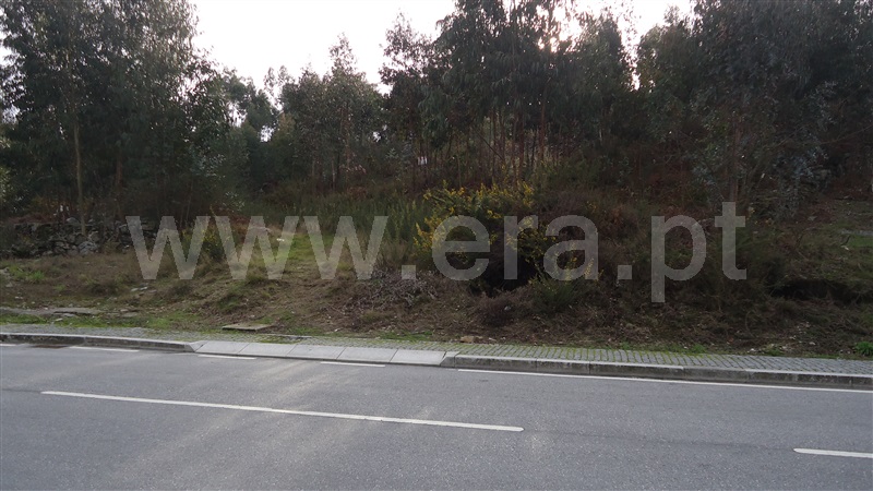 Terreno  Fafe - 876464 - 3