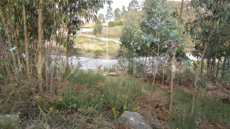 Terreno  Fafe - 876464 - 6