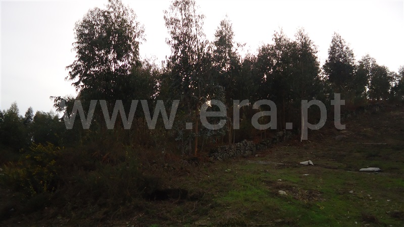 Terreno  Fafe - 876464 - 8
