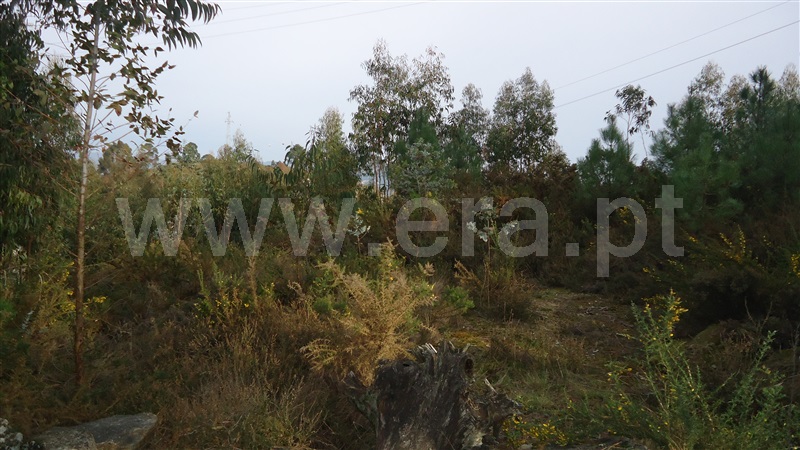 Terreno  Fafe - 876464 - 11