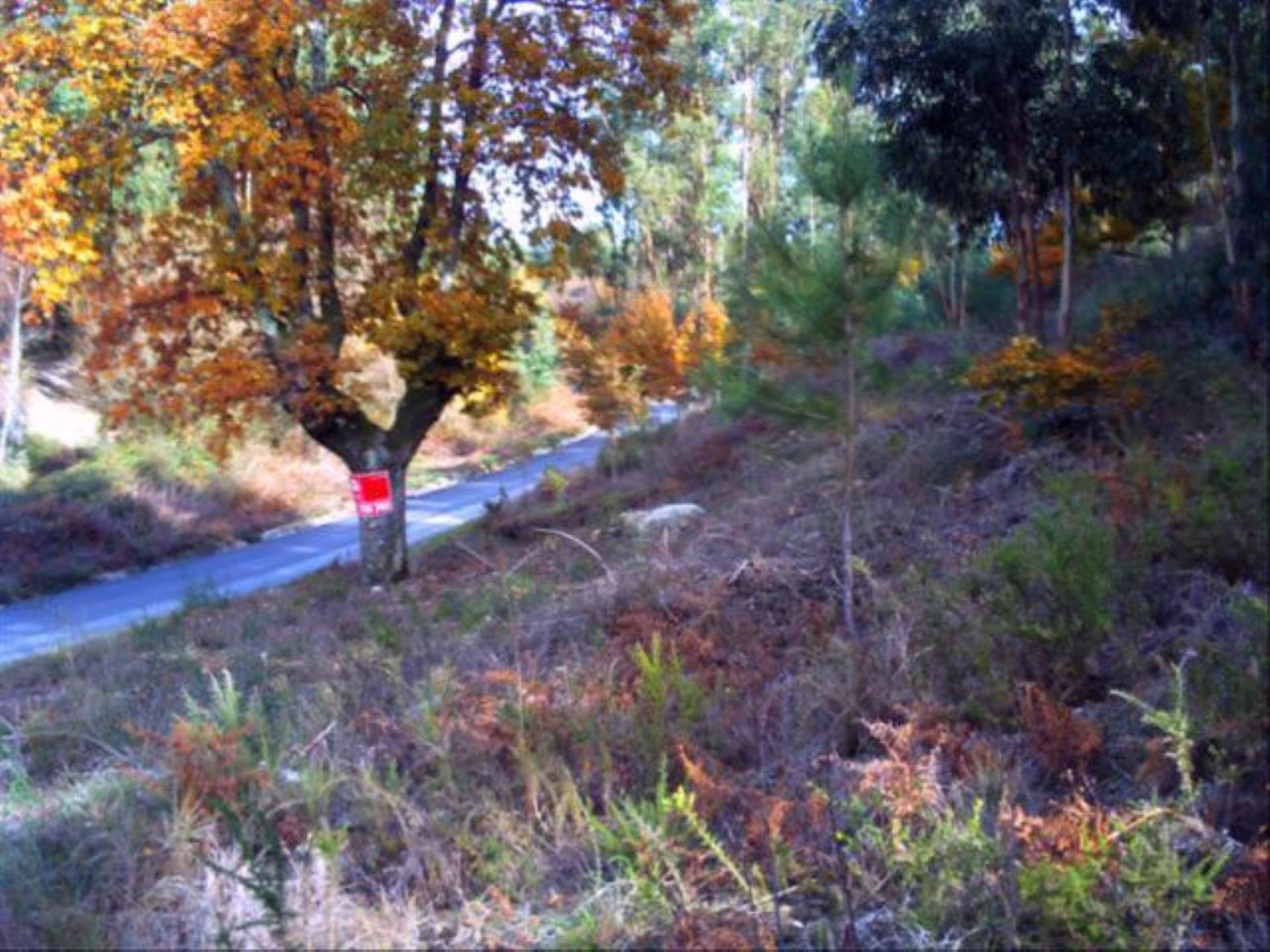 Land for sale in Fafe, Portugal — €200,000
