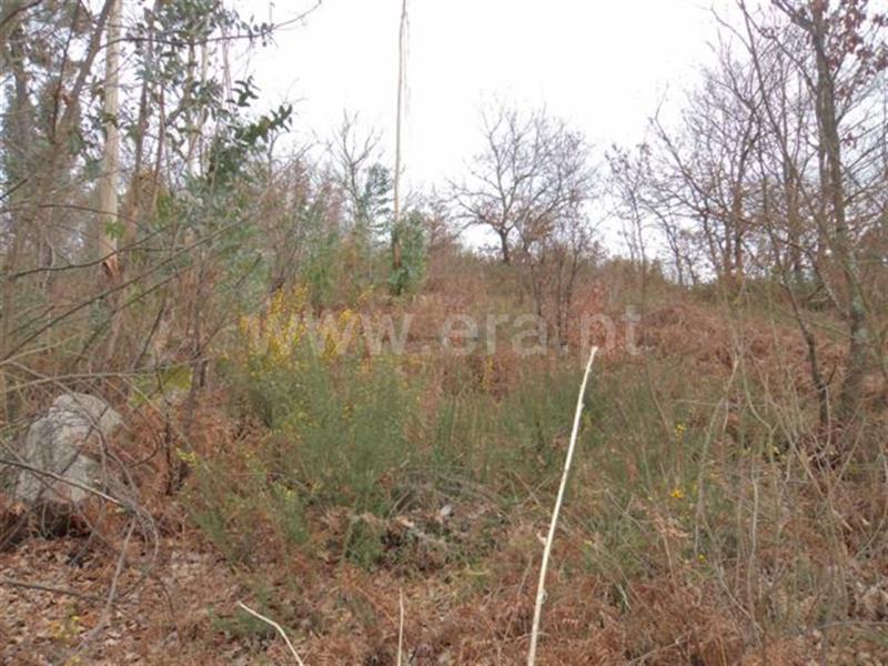 Terreno / Fafe, Fornelos