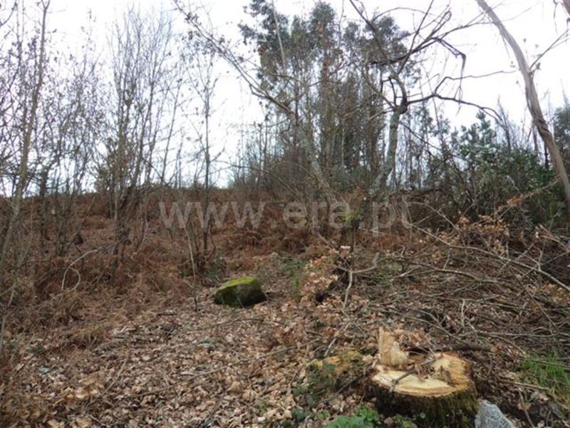 Terreno  Fafe, Fornelos - 521838 - 5
