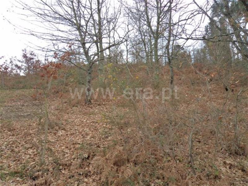 Terreno  Fafe, Fornelos - 521838 - 9