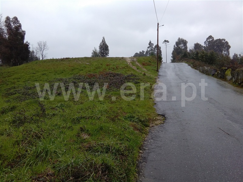 Terreno  Fafe, Fornelos - 713027 - 3