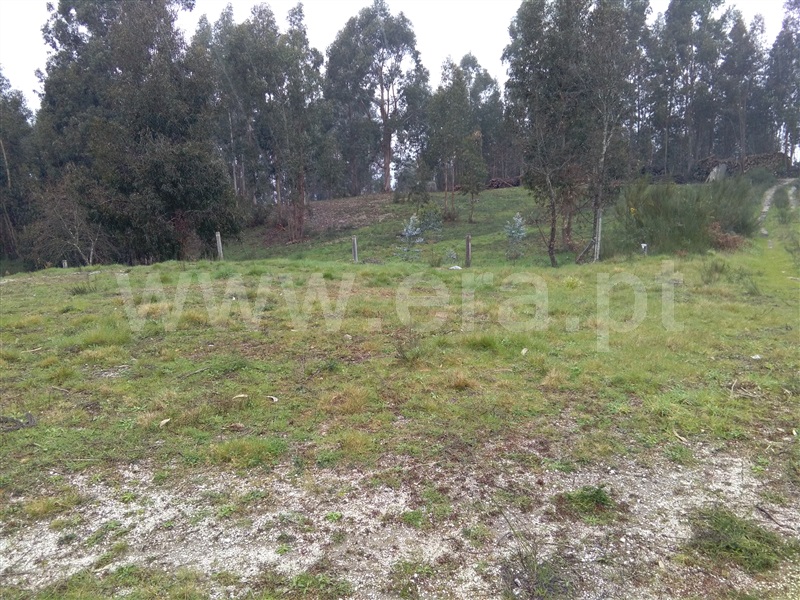 Terreno  Fafe, Fornelos - 713027 - 6