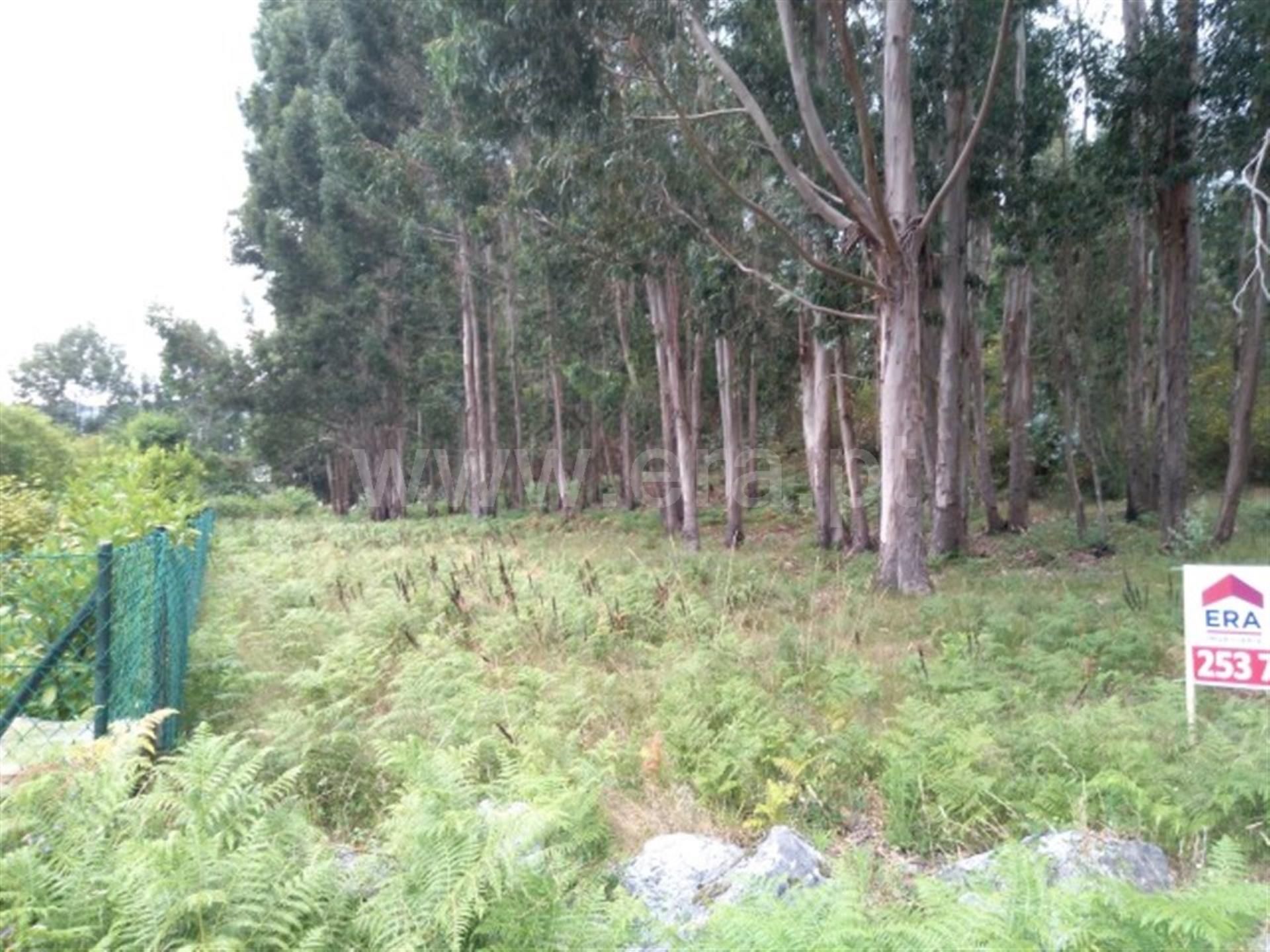 Land for sale in Fafe, Portugal — €70,000