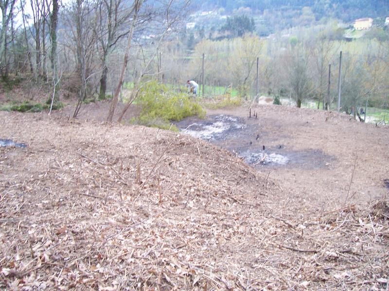 Terreno / Fafe, Freitas e Vila Cova