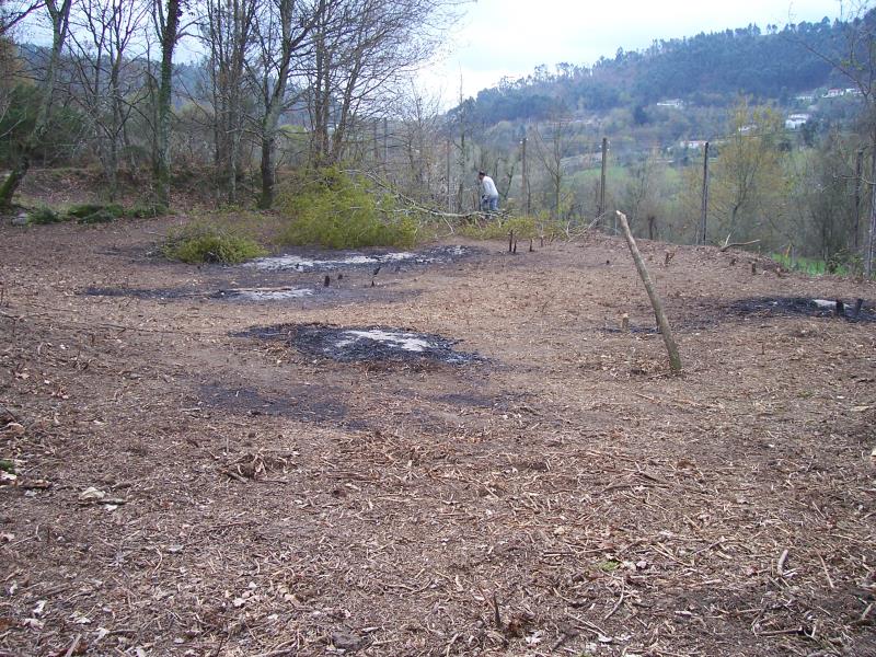 Terreno  Fafe, Freitas e Vila Cova - 101642 - 2