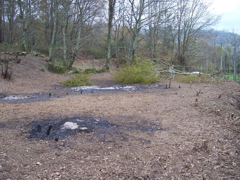 Terreno  Fafe, Freitas e Vila Cova - 101642 - 3