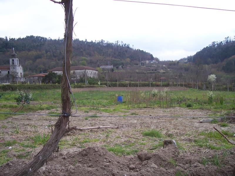 Terreno / Fafe, Freitas e Vila Cova