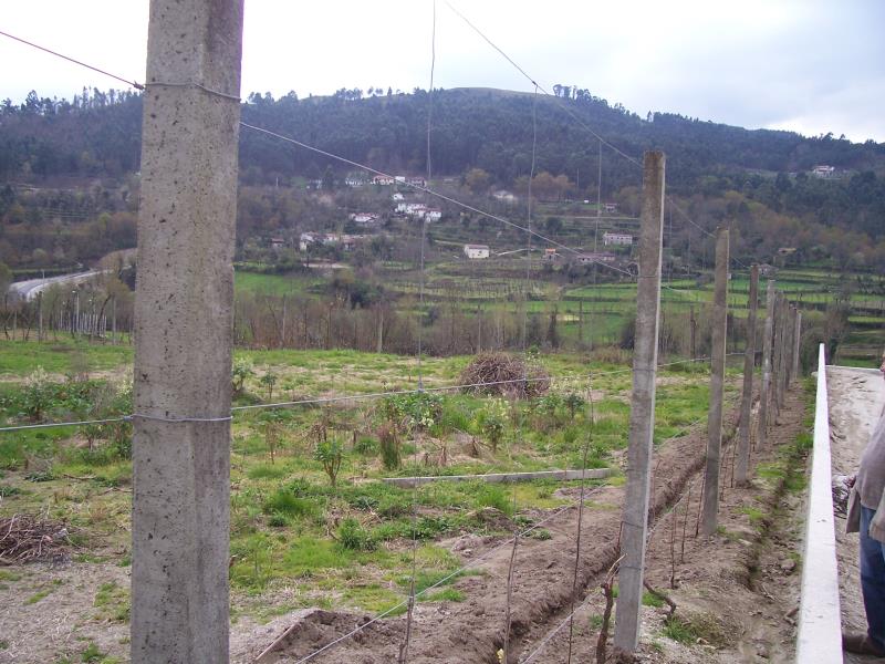 Terreno  Fafe, Freitas e Vila Cova - 101643 - 6