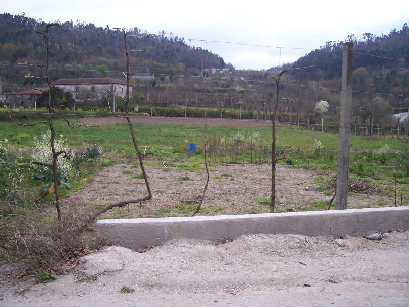 Terreno  Fafe, Freitas e Vila Cova - 101643 - 4