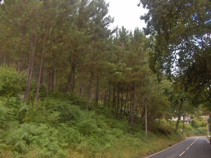 Terreno  Fafe, Freitas e Vila Cova - 101844 - 2